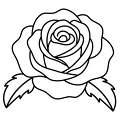 Blooming rose line art illustration. Detailed floral sketch for tatto idea, greeting card, logo, frame, print, botanical design.