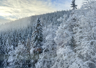 Snowy winter forest. View of a forest stream among trees and bushes covered with snow. Cold snowy weather. Heavy snowfall in the forest. Beautiful northern nature. Magnificent winter landscape.
