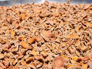 dried turmeric slices , spices for thai cuisine