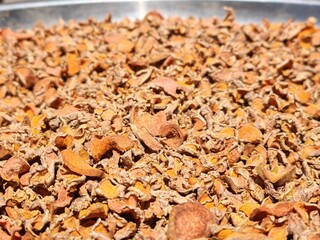 dried turmeric slices , spices for thai cuisine