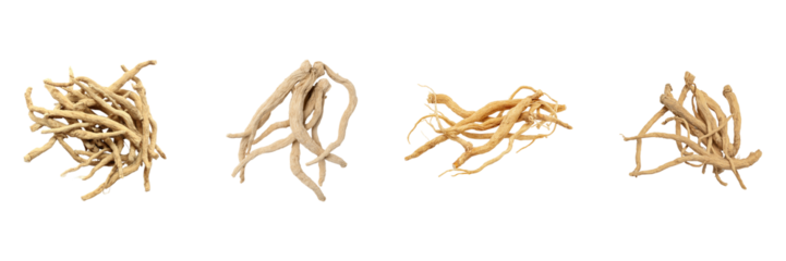 Dried Ginseng Roots Set. Herbal Medicine And Natural Remedies Collection Isolated On Transparent Background
