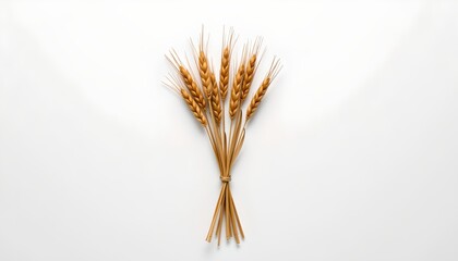 A tall, cylindrical display of wheat stalks in the foreground against a light gray background, with a vertical strip of brown wall dividing the upper and lower sections