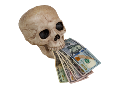 A human skull replica holding US currency money bills in its teeth isolated on white