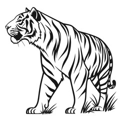 tiger vector illustration