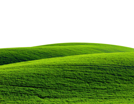 Rolling green hills against a black sky, suggesting a landscape's edge