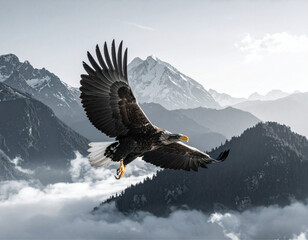  Flying Eagle Over Mountain Landscape – Freedom and Nature Concept PNG