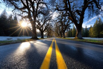 Golden sunlight illuminates a tree-lined road during early morning hours in a serene landscape