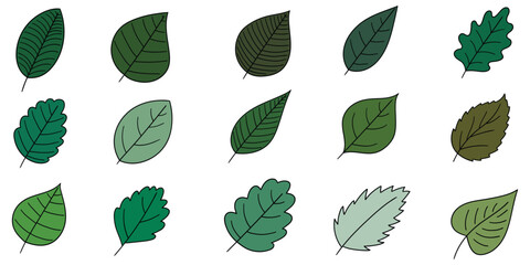 Hand-drawn cartoon set of green leaves on a white background.