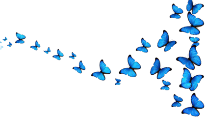 A flowing arrangement of vibrant blue butterflies on a stark black background