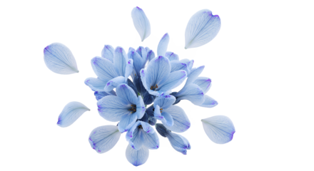 Blue flowers and petals floating in the air, creating a sense of serenity and freedom