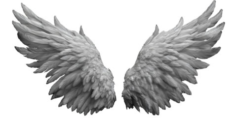 Majestic pair of white angel wings, isolated for design use isolated on transparent background