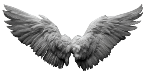 White angel wings with detailed feathers and a graceful spread isolated on transparent background
