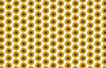 sunflower as pattern