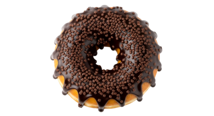 Chocolate Donut With Sprinkles Keywords: donut, doughnut, chocolate, icing, frosting, sprinkles