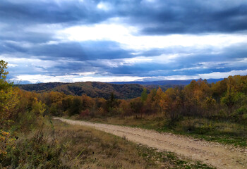 A fairy-tale autumn forest in all its colors and a dirt road during the seasonal period in the foothill area