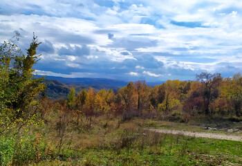 A fairy-tale autumn forest in all its colors and a dirt road during the seasonal period in the foothill area