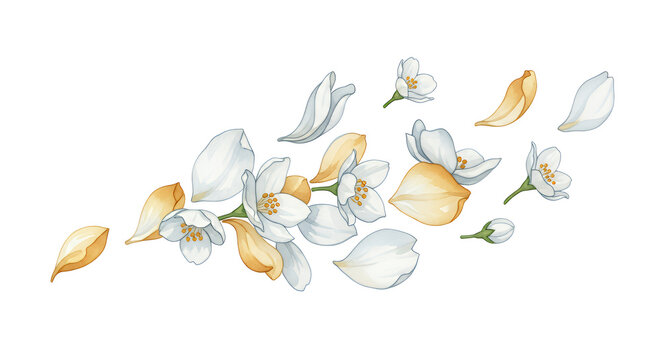 Delicate white and golden flower petals scattering in the wind, creating a graceful floral composition, perfect for spring and nature themes