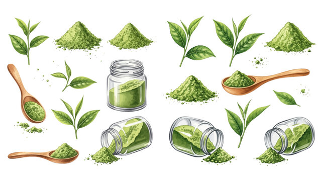 Realistic vector illustration set of fresh green tea leaves and matcha powder in piles, wooden spoons, and glass jars, showcasing natural healthy ingredients.