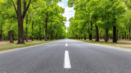 Empty asphalt road stretching into the distance, flanked by vibrant green trees, representing journey, progress, and nature