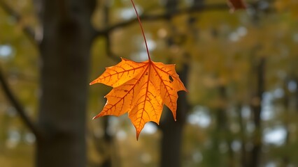 Obraz premium amalgam. A maple seed spiraling down against a blurred forest backdrop. representing seasonal cycles and harvest abundance, gardening catalogs, designed for gardening and botanical catalogs.