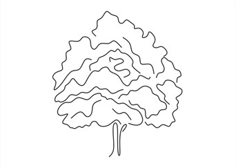  tree line icon vector .tree sign. isolated contour symbol black illustration. line drawing. Editable stroke. 