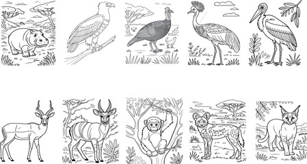 PrintBirds Coloring Pages