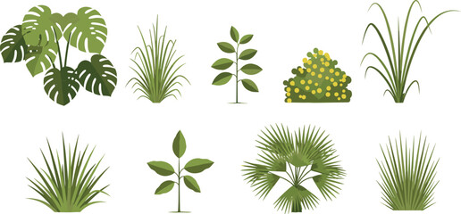 Collection of tropical and garden plant illustrations featuring various leaves, bushes and grasses for landscape design, botanical artwork and nature-themed projects
