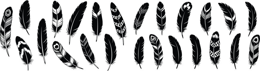 Obraz premium Collection of stylized black feather silhouettes with unique patterns, perfect for bohemian or tribal design elements