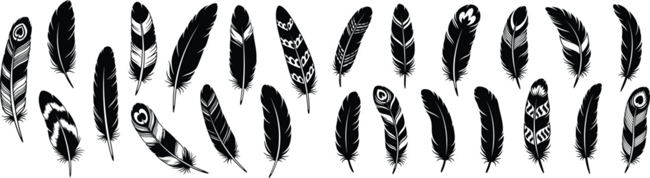 Collection of stylized black feather silhouettes with unique patterns, perfect for bohemian or tribal design elements