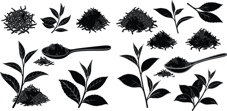 Collection of tea plant leaves and dry tea piles, including a spoon, for beverage packaging graphics
