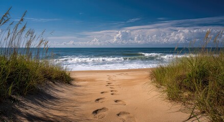 Sandy path leads to ocean waves under a sunny, cloudy sky