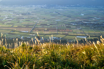 大観峰からみる阿蘇の田園風景