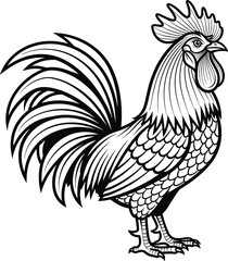 Vintage Engraving Detailed Rooster Vector Illustration, Hand Drawn Farm Cock Black and White Line Art