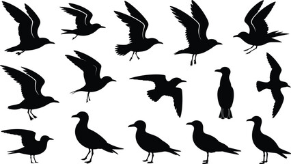 Seabird silhouette, flying bird icons, coastal bird shapes, black bird design, nature symbol, wildlife illustration, decorative animal graphic, sea bird art