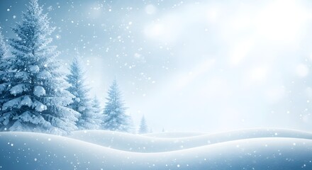 Serene winter landscape with snow covered evergreen trees and soft falling snowflakes illuminated by bright sunlight