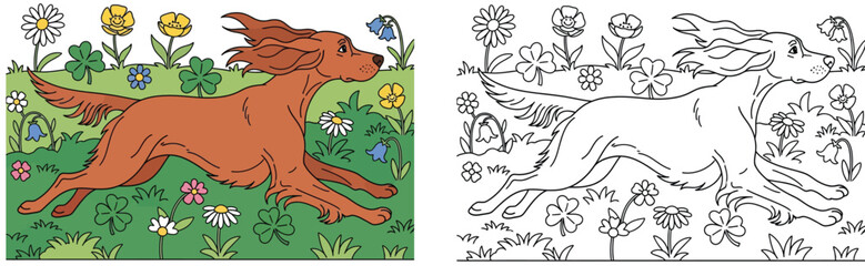 Running Irish Setter Dog in Flower Field &ndash; Cute Spring Illustration with Coloring Page Version, Playful Pet Artwork,