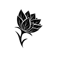 Elegant Black and White Floral Illustration A Detailed Botanical Design