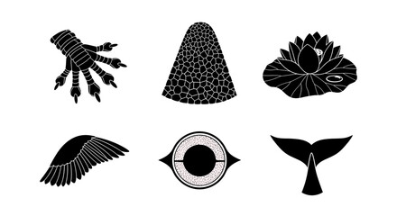 Mystical black and white collection of dragon claw, flower, wing, eye, tail and scales for fantasy story illustration or logo design inspiration