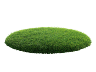 A large green circle of grass on a white background