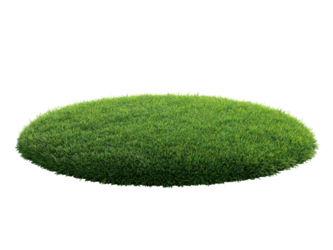 A large green circle of grass on a white background