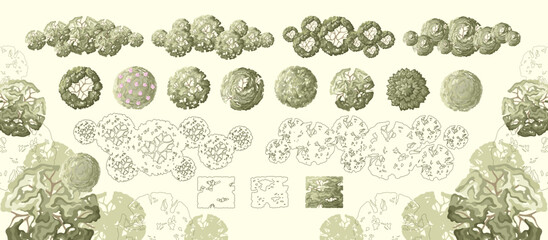 Tree for architectural floor plans. Entourage design. Various trees, bushes, and shrubs, top view for the landscape design plan. Vector illustration.