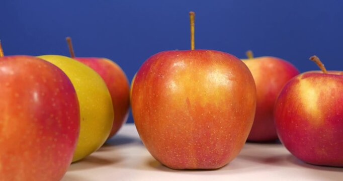 Ripe fresh apples rotates on dark blue backdrop