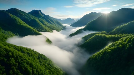Serene Mountain Valley Shrouded in Mist and Lush Greenery.