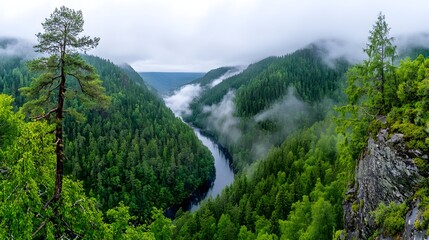 Majestic River Valley Surrounded by Lush Green Forest and Misty Hills.