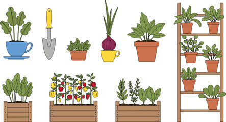 Urban Home Container Gardening Vector Set with Herbs, Vegetables, Shovel, and Potted Plants, Ideal for Indoor Farming and Sustainable Living Concepts.