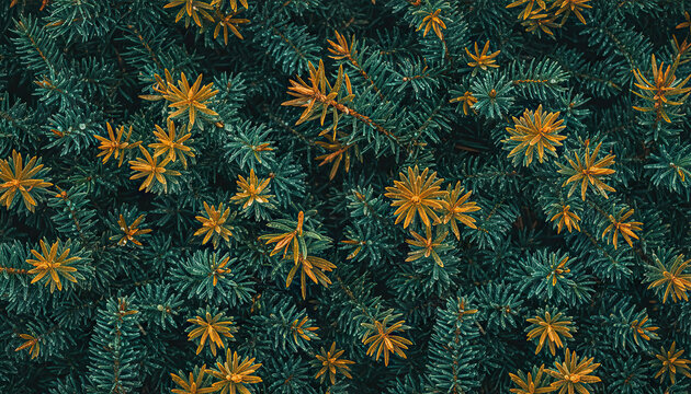 Close Up Macro View of Dark Teal Pine Needles with Golden Yellow Seed Pods Creating a Textured Natural Background