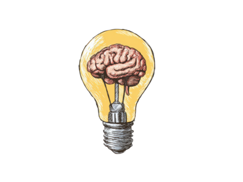 A drawing of a brain inside a light bulb