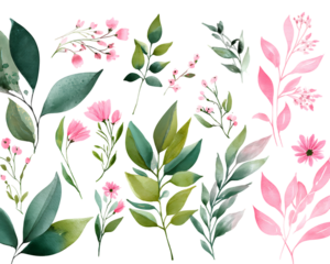 Watercolor botanical elements with pink flowers and green leaves isolated on transparent background