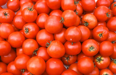 Tomate