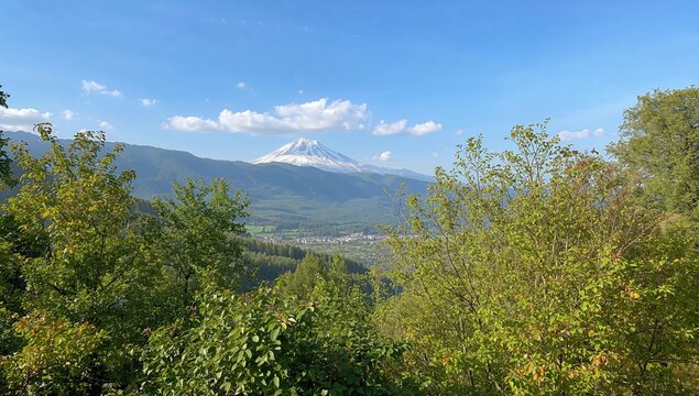 View of the green trees and alpine valley framed by a snowy mountain peak under a clear sky, preservation